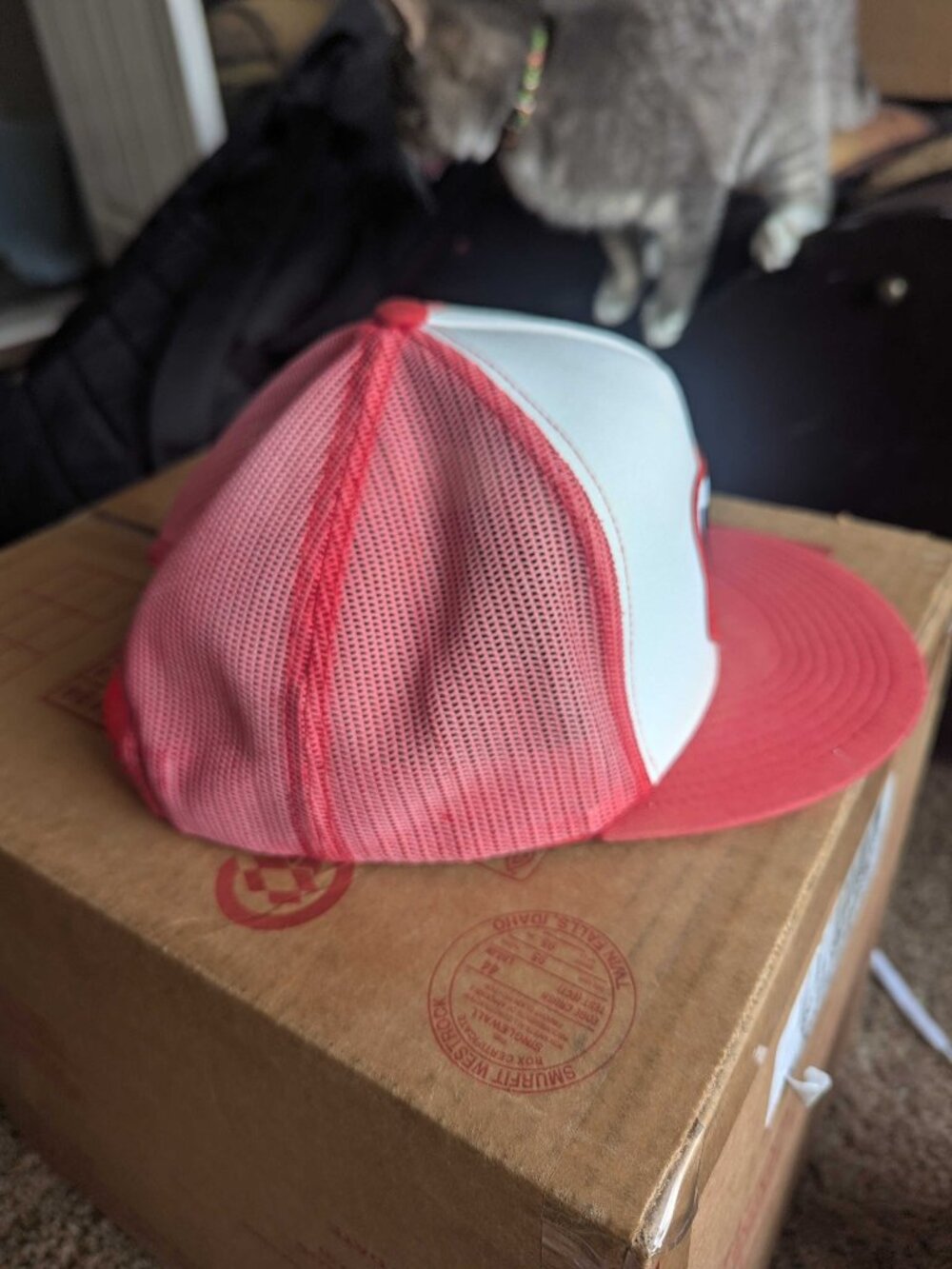 SPAM Trucker Cap - Picture 3 of 5